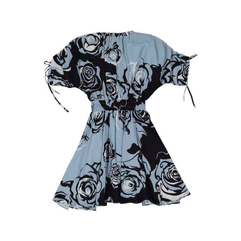 ACIRA-Blue