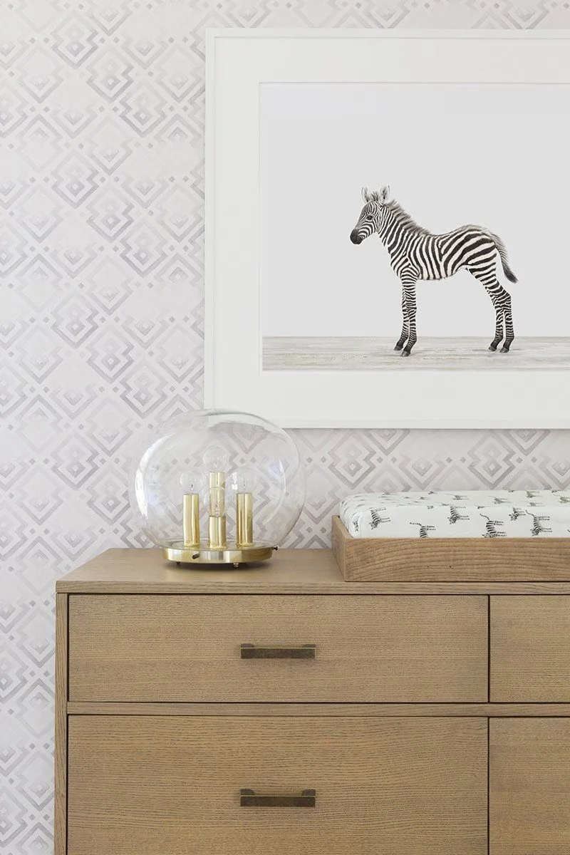 Baby Zebra Print