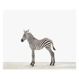 Baby Zebra Print