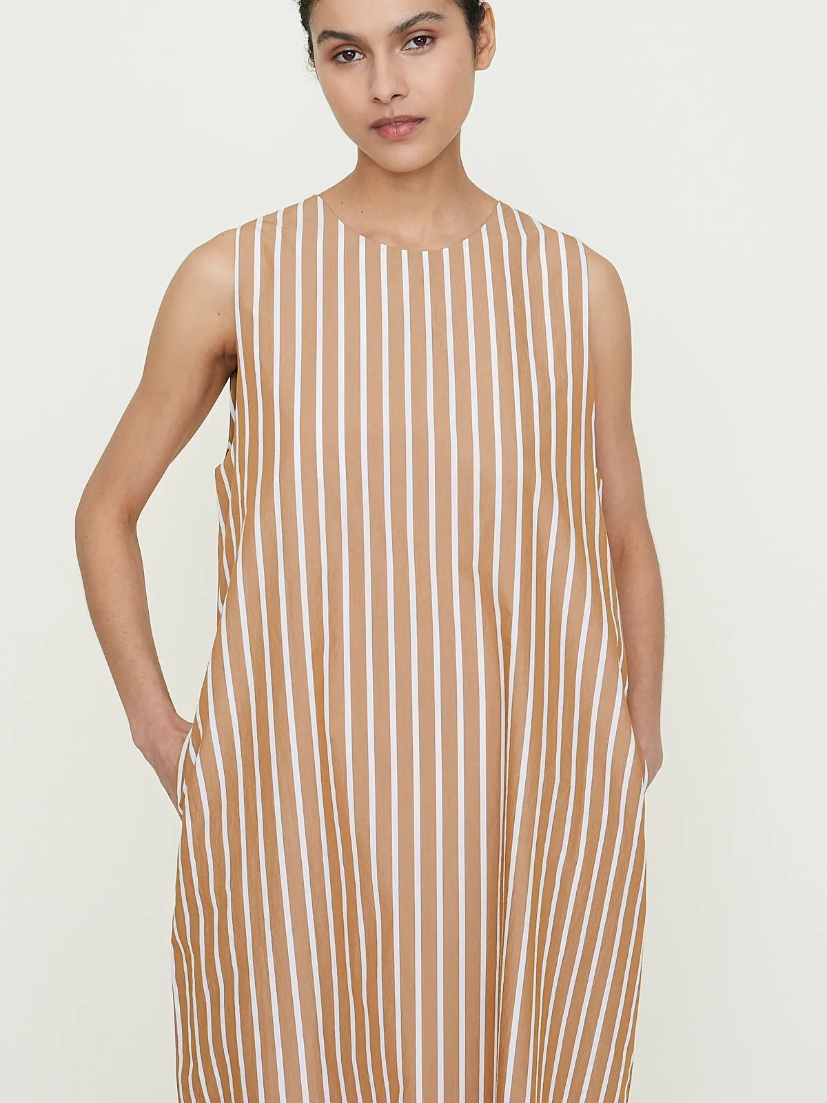 Emmer Dress in Brown Stripe