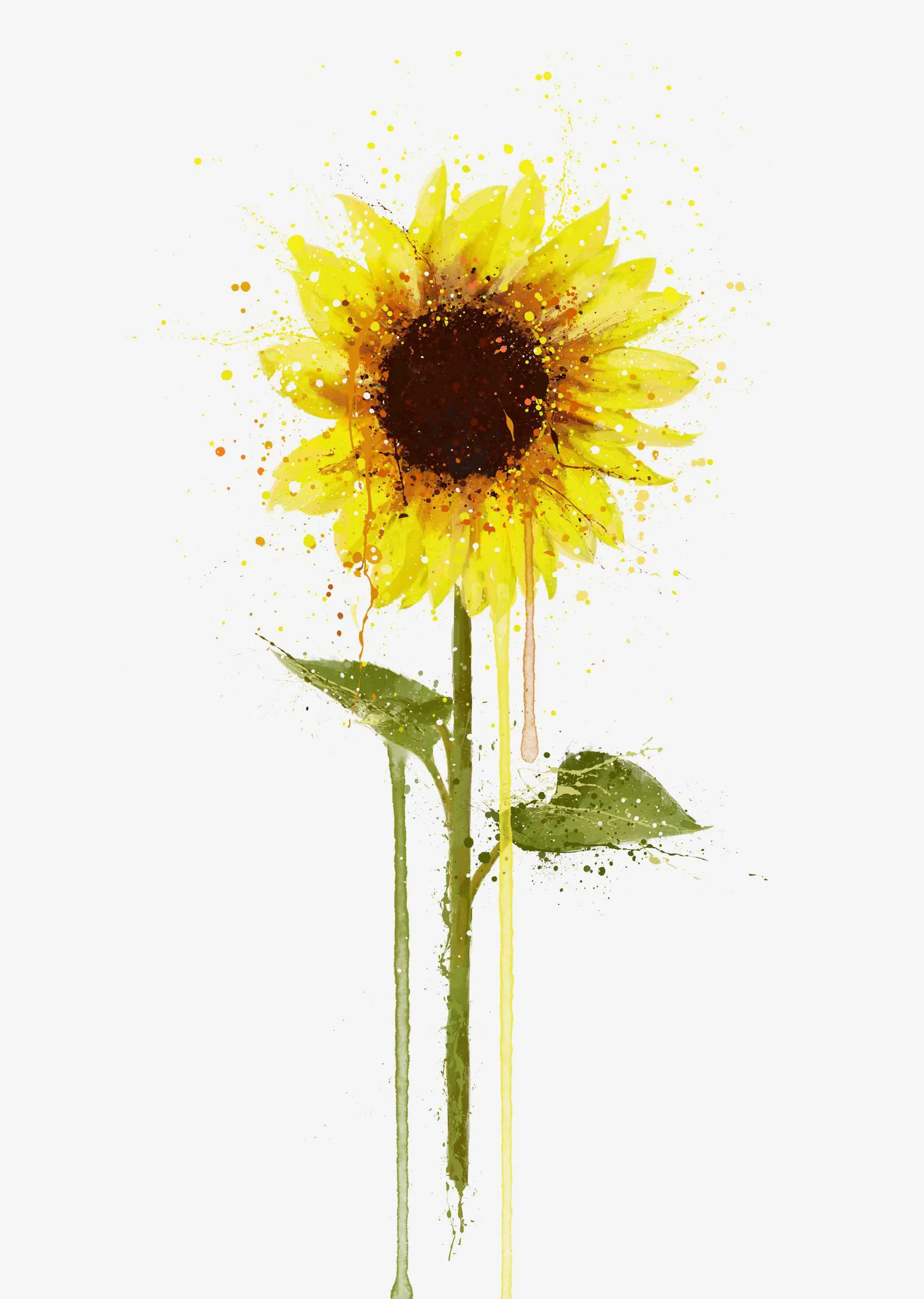 Flower Wall Art Print 'Sunflower'