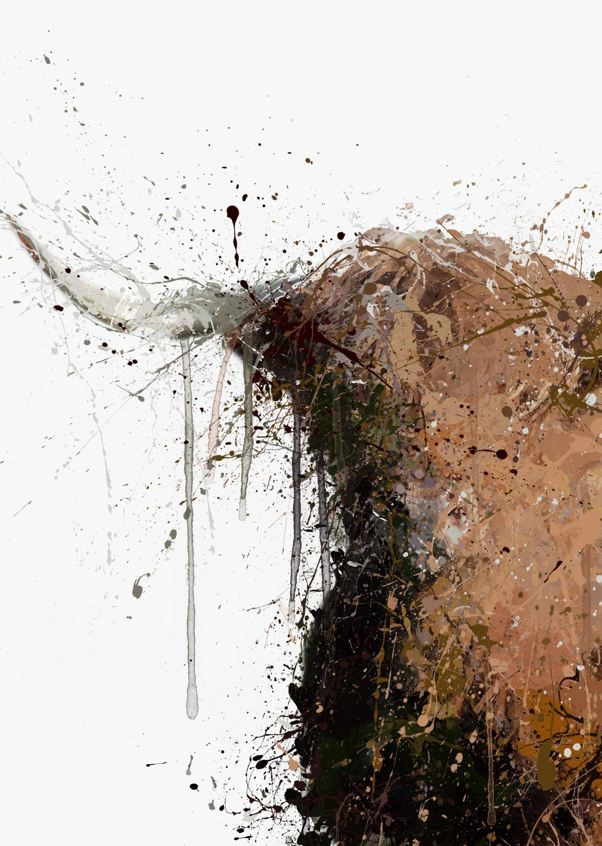Highland Cow Wall Art Print