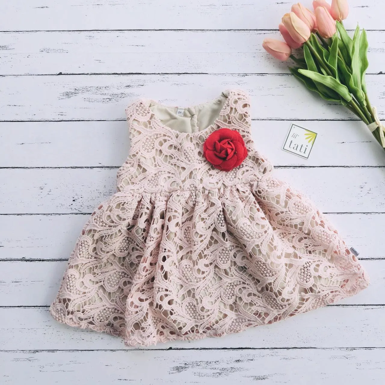 Iris Dress in Light Pink Paisley Lace