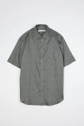 NS1191-61 Japanese Dotted Stripe Print in Green