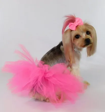 Pawpatu Handcrafted Hot Pink Tulle Tutu with Adjustable Ribbon for Pets