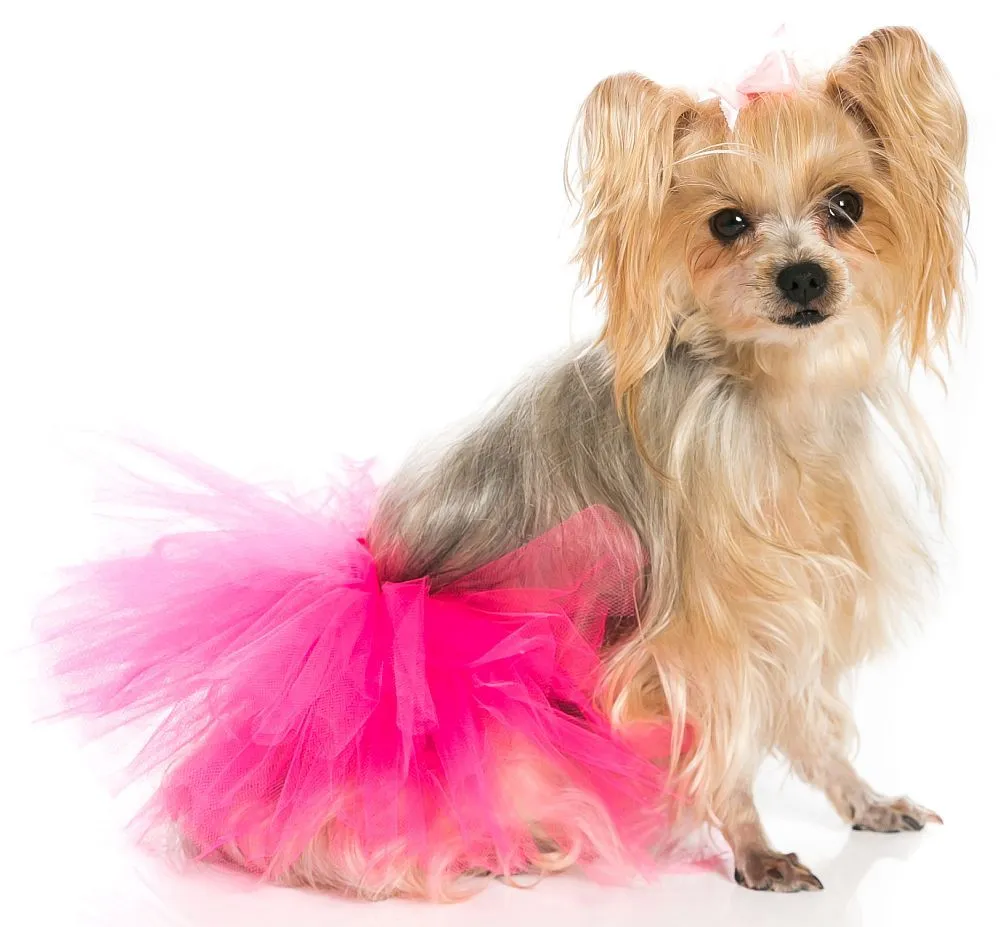 Pawpatu Handcrafted Hot Pink Tulle Tutu with Adjustable Ribbon for Pets