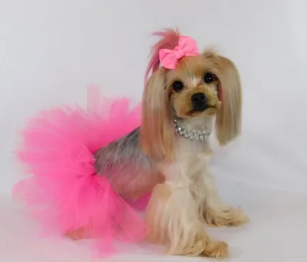 Pawpatu Handcrafted Hot Pink Tulle Tutu with Adjustable Ribbon for Pets